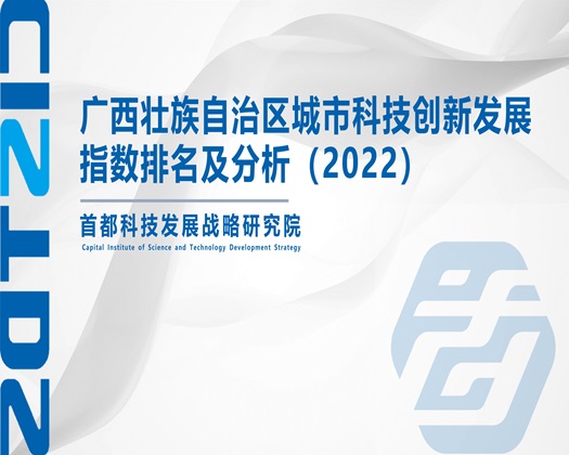 拔擦擦擦逼逼【成果发布】广西壮族自治区城市科技创新发展指数排名及分析（2022）